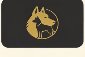 Déclinaison or fond sombre