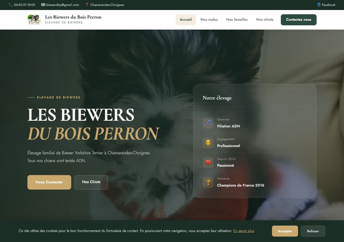 Capture d'écran du site Les Biewers du Bois Perron — élevage Biewer Yorkshire